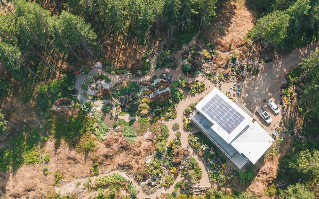 Building a Sustainable Future: Linwood Homes’ Commitment to Green Construction